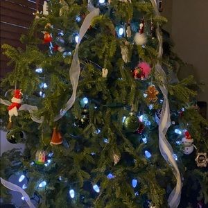 Meet your Posher, Catherine